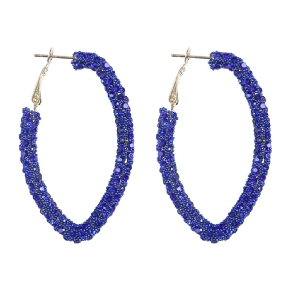 NWT Sapphire Crystal Rhinestone Encrusted Glitter Hoop Earrings!